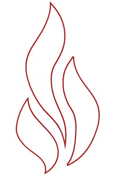 FireGold - Pavel Novák